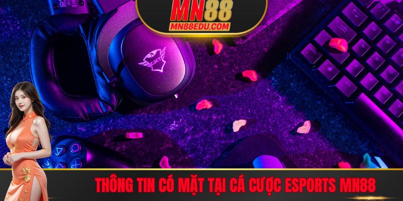 Thông tin có mặt tại cá cược Esports MN88