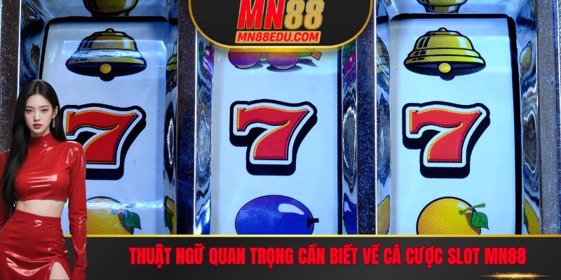Thuật ngữ quan trọng cần biết về cá cược Slot MN88